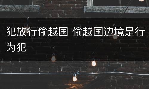 犯放行偷越国 偷越国边境是行为犯