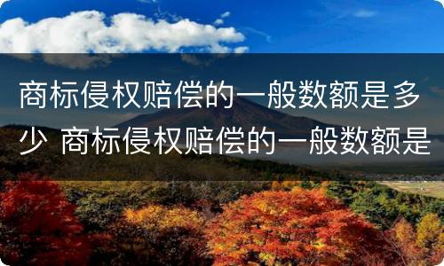 商标侵权赔偿的一般数额是多少 商标侵权赔偿的一般数额是多少啊