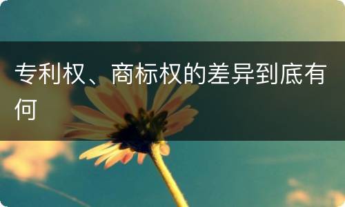 专利权、商标权的差异到底有何