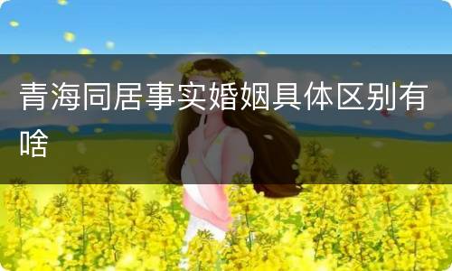 青海同居事实婚姻具体区别有啥
