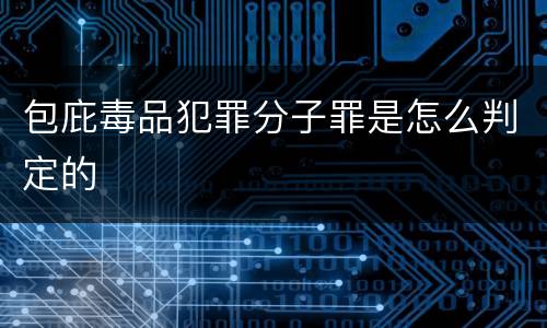 包庇毒品犯罪分子罪是怎么判定的