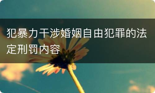 犯暴力干涉婚姻自由犯罪的法定刑罚内容