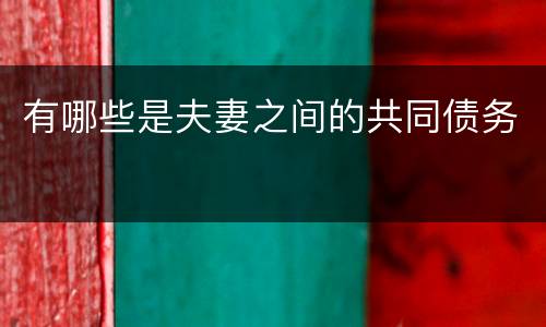 有哪些是夫妻之间的共同债务