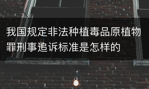 我国规定非法种植毒品原植物罪刑事追诉标准是怎样的