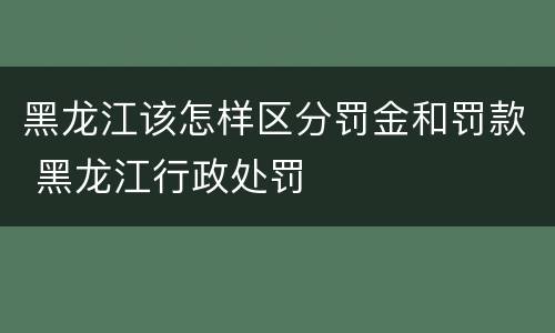 黑龙江该怎样区分罚金和罚款 黑龙江行政处罚