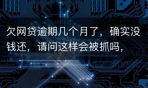 欠网贷逾期几个月了，确实没钱还，请问这样会被抓吗，