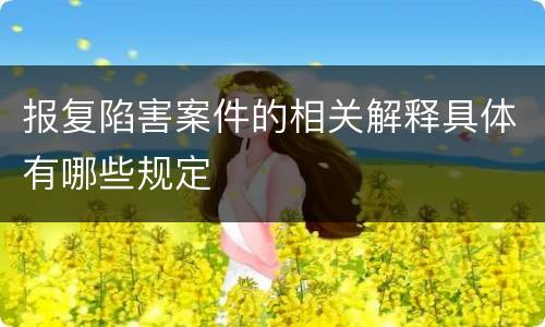 报复陷害案件的相关解释具体有哪些规定