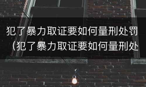 犯了暴力取证要如何量刑处罚（犯了暴力取证要如何量刑处罚呢）