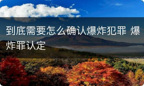 到底需要怎么确认爆炸犯罪 爆炸罪认定