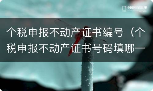个税申报不动产证书编号（个税申报不动产证书号码填哪一个）