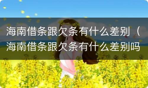 海南借条跟欠条有什么差别（海南借条跟欠条有什么差别吗）