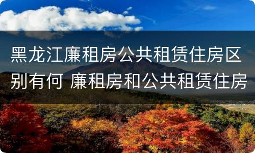 黑龙江廉租房公共租赁住房区别有何 廉租房和公共租赁住房的区别