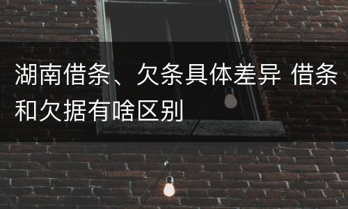 湖南借条、欠条具体差异 借条和欠据有啥区别