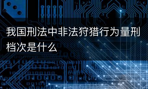 我国刑法中非法狩猎行为量刑档次是什么