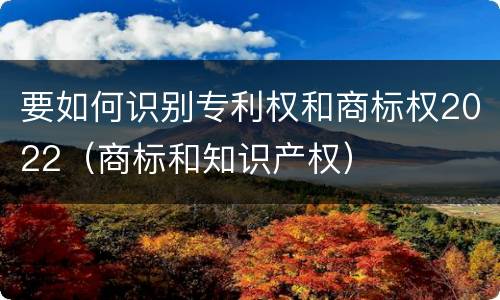 要如何识别专利权和商标权2022（商标和知识产权）