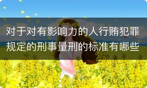 对于对有影响力的人行贿犯罪规定的刑事量刑的标准有哪些