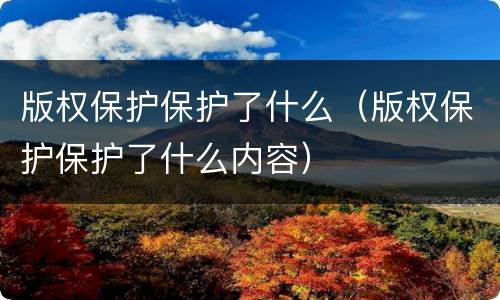 版权保护保护了什么（版权保护保护了什么内容）