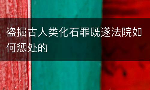 盗掘古人类化石罪既遂法院如何惩处的