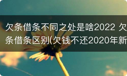 欠条借条不同之处是啥2022 欠条借条区别(欠钱不还2020年新规 - 法律之家