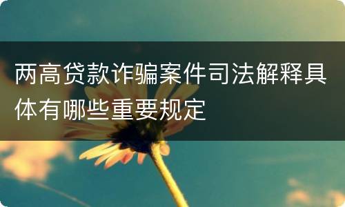 两高贷款诈骗案件司法解释具体有哪些重要规定