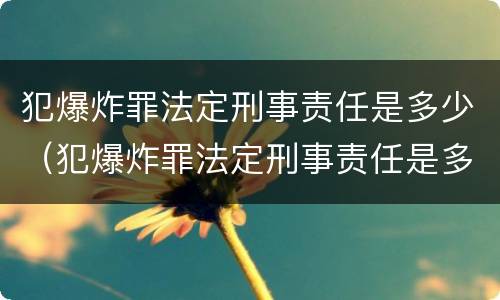 犯爆炸罪法定刑事责任是多少（犯爆炸罪法定刑事责任是多少条）