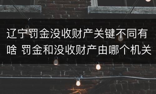 辽宁罚金没收财产关键不同有啥 罚金和没收财产由哪个机关执行