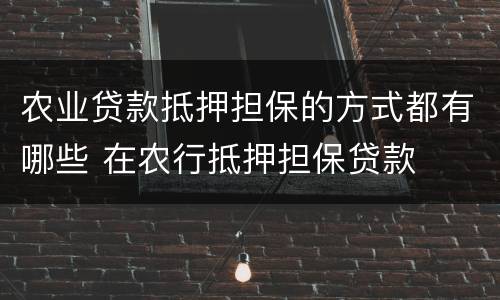 农业贷款抵押担保的方式都有哪些 在农行抵押担保贷款
