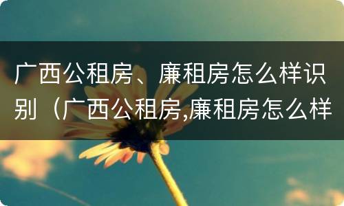 广西公租房、廉租房怎么样识别（广西公租房,廉租房怎么样识别真假）