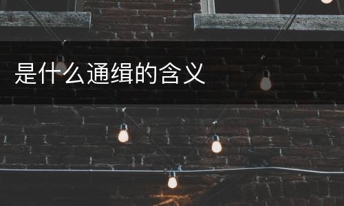 是什么通缉的含义