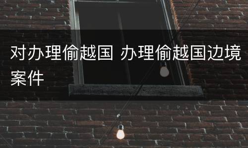 对办理偷越国 办理偷越国边境案件