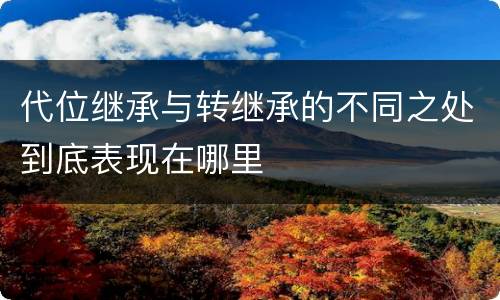 代位继承与转继承的不同之处到底表现在哪里