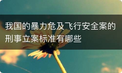 我国的暴力危及飞行安全案的刑事立案标准有哪些