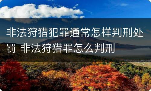 非法狩猎犯罪通常怎样判刑处罚 非法狩猎罪怎么判刑