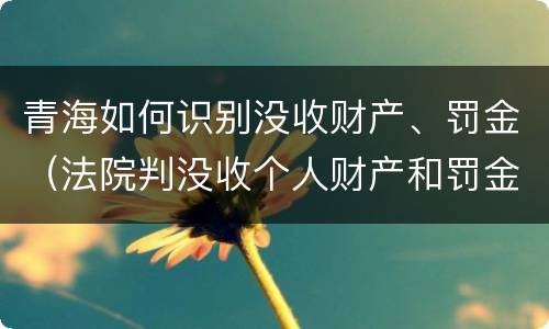 青海如何识别没收财产、罚金（法院判没收个人财产和罚金有什么区别）