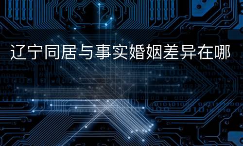 辽宁同居与事实婚姻差异在哪