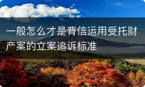 一般怎么才是背信运用受托财产案的立案追诉标准