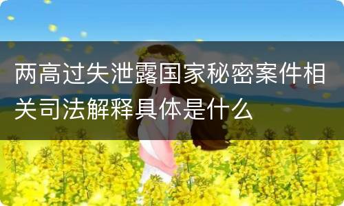 两高过失泄露国家秘密案件相关司法解释具体是什么