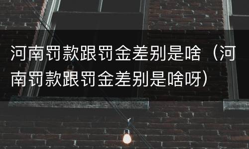 河南罚款跟罚金差别是啥（河南罚款跟罚金差别是啥呀）