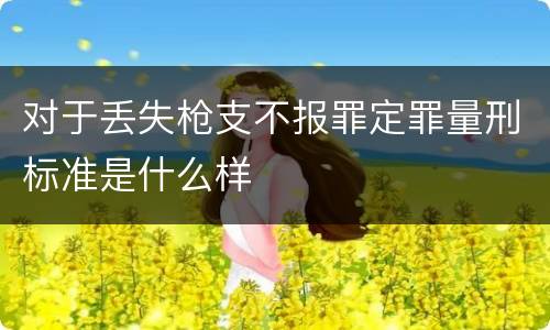 对于丢失枪支不报罪定罪量刑标准是什么样