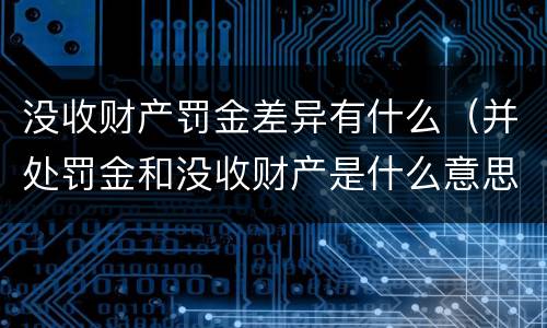 没收财产罚金差异有什么（并处罚金和没收财产是什么意思）