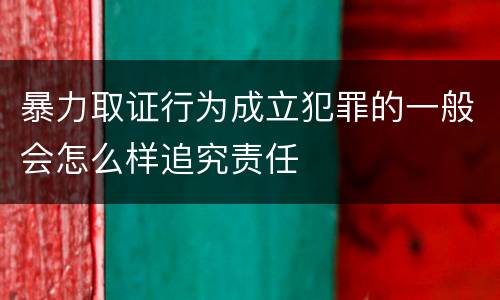 暴力取证行为成立犯罪的一般会怎么样追究责任
