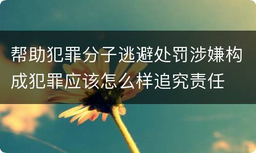 帮助犯罪分子逃避处罚涉嫌构成犯罪应该怎么样追究责任