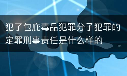 犯了包庇毒品犯罪分子犯罪的定罪刑事责任是什么样的
