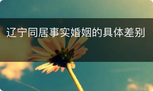 辽宁同居事实婚姻的具体差别