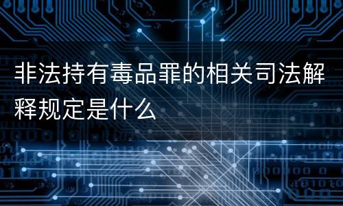 非法持有毒品罪的相关司法解释规定是什么