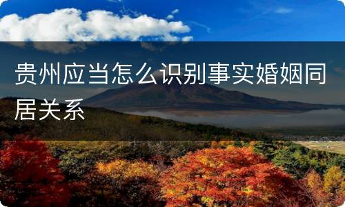 贵州应当怎么识别事实婚姻同居关系