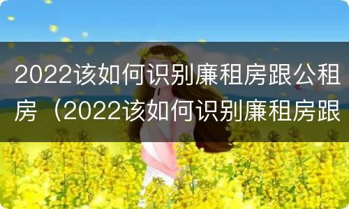 2022该如何识别廉租房跟公租房（2022该如何识别廉租房跟公租房呢）