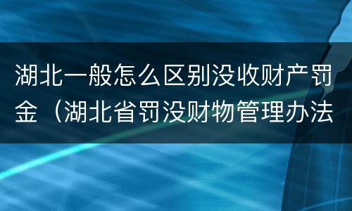 湖北一般怎么区别没收财产罚金（湖北省罚没财物管理办法）