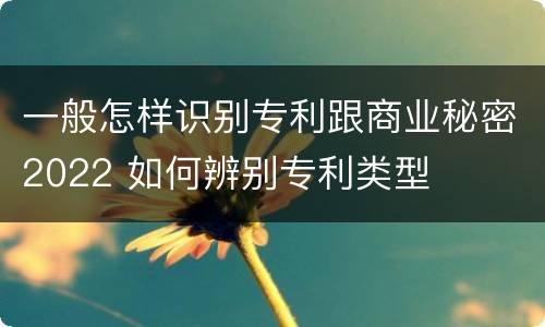 一般怎样识别专利跟商业秘密2022 如何辨别专利类型