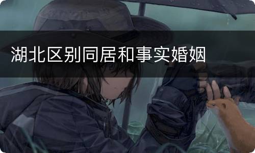 湖北区别同居和事实婚姻